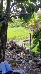 Ditinggalin Pas Main Nih Cewek, Lelaki Gak tanggung jawab