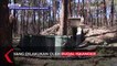 Detik-detik Rudal Iskander Rusia Hancurkan Sistem Rudal Ukraina