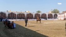 عروض مثيرة في ادب الخيل خلال مهرجان المنوفية للخيول العربية الاصيلة