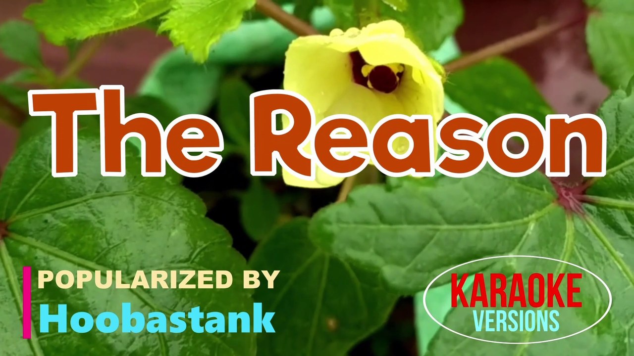 The Reason - Hoobastank | Karaoke Version |HD