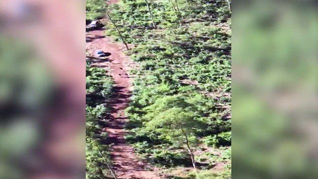 Após assalto na BR-277 e PRF ser baleado, Choque de Cascavel auxilia nas buscas e detém três envolvidos