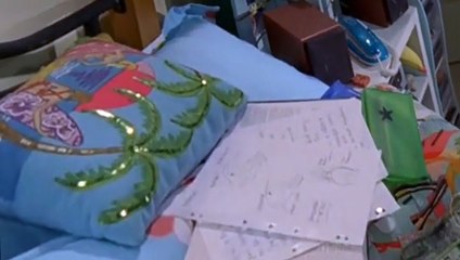 H2O: Just Add Water S02 E10