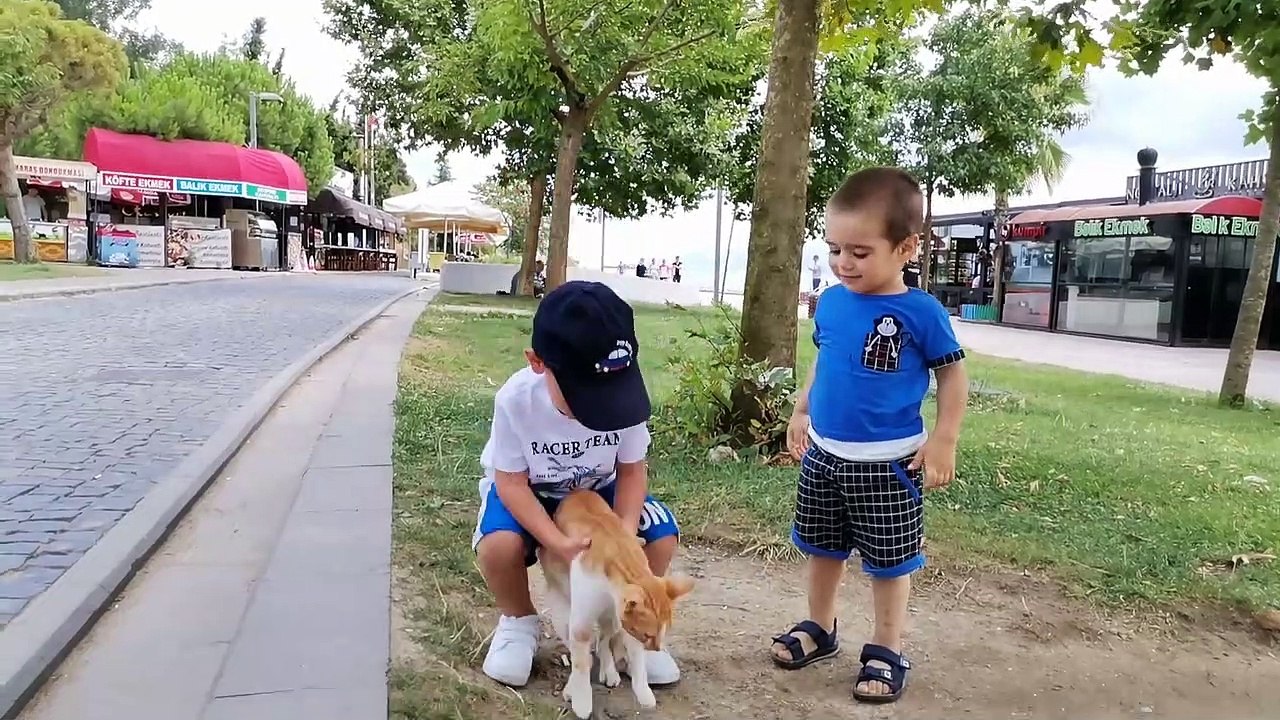 Cat and kids funny time ❤️