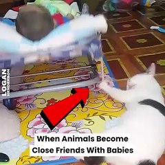 When Animals Become Close Friends With Babies
