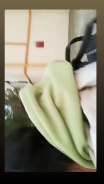 Üniversite kampüsünde başıboş köpek dehşeti! Haydar Özkan, yeni bir faciaya sebep oluyordu