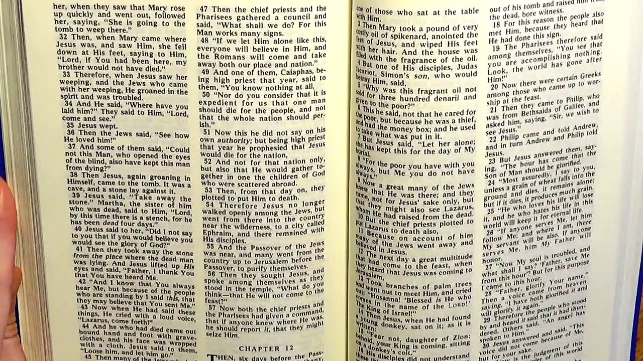 John 12, the New Testament