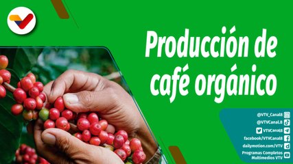 Cultivando Patria | Unidad Productiva "Los Adrianes" cuenta con 1.200 plantas de café sembradas