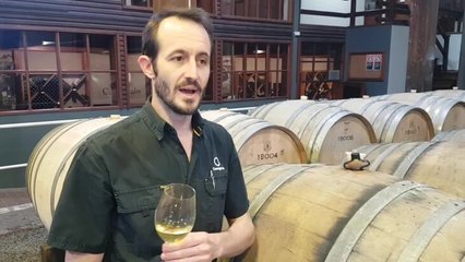 Alex Cassegrain discussing smoke taint in wine.