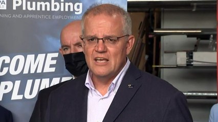 Budget to support extra 35,000 apprentices, trainees