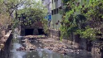 Encroachment in many places in drains, cleaning is not being done