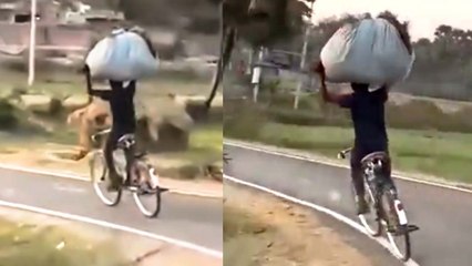 உடம்பு புல்லா ஸ்டியரிங் இருக்கும் போலயே.. இவர் ஒரு மனித Segway!ஆனந்த் மகிந்திரா போட்ட சூப்பர் ட்வீட்