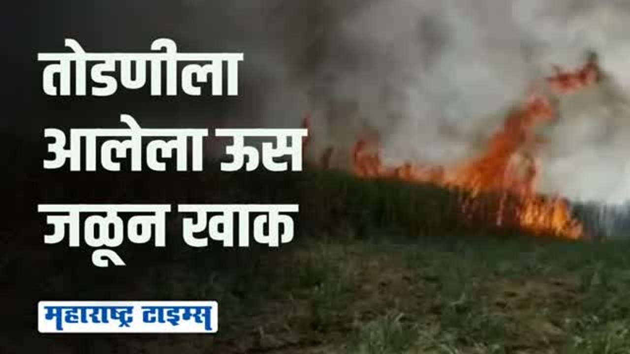 साताऱ्यात 60 एकर ऊस जळून खाक; शेतक-यांचं लाखोंचं नुकसान