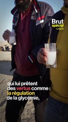 خاص بالجنوب - الجزء الثالث : حليب الناقة