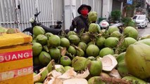 Master of Coconut Cutting Skills - Cambodian Street Food