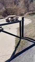 Silly Gate Isn't Stopping Much