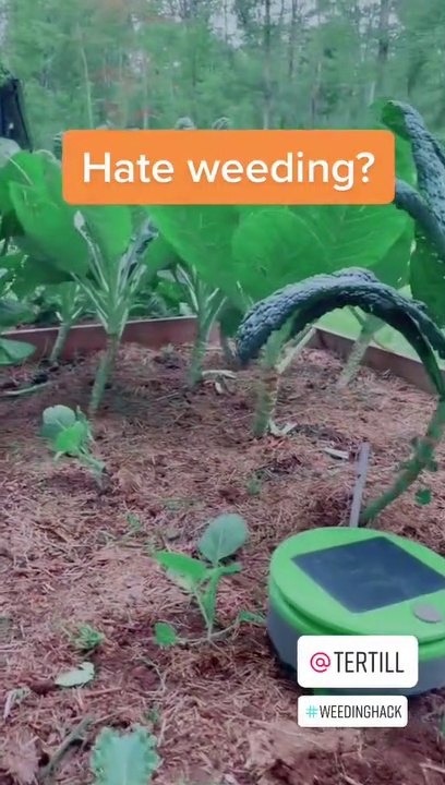 Amazing Robot Weeder for Home Gardens | Weeding Robot will blow your mind! | Tertill Weeding Robot