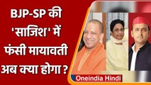 UP Election 2022: Mayawati का BJP-SP पर मिली भगत का आरोप l वनइंडिया हिंदी