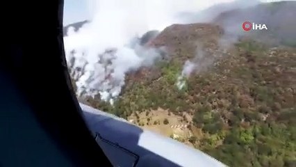 Meksika'da orman yangını! 33 ayrı nokta kül oldu