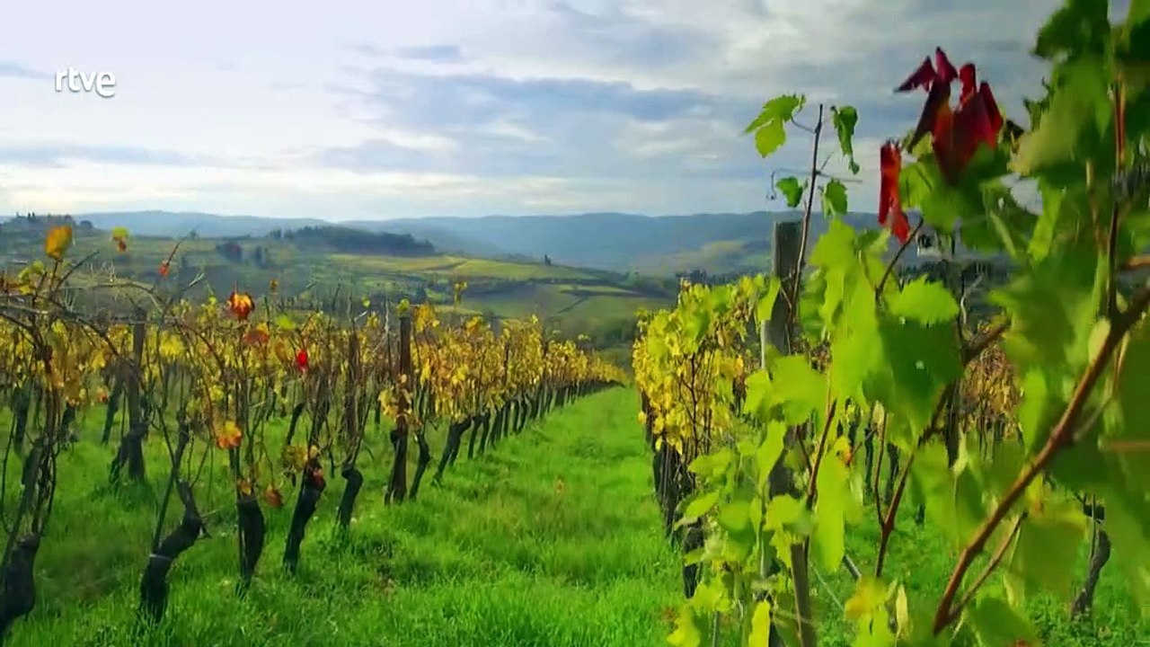 Jamie cocina en Italia 6/8 - La Toscana