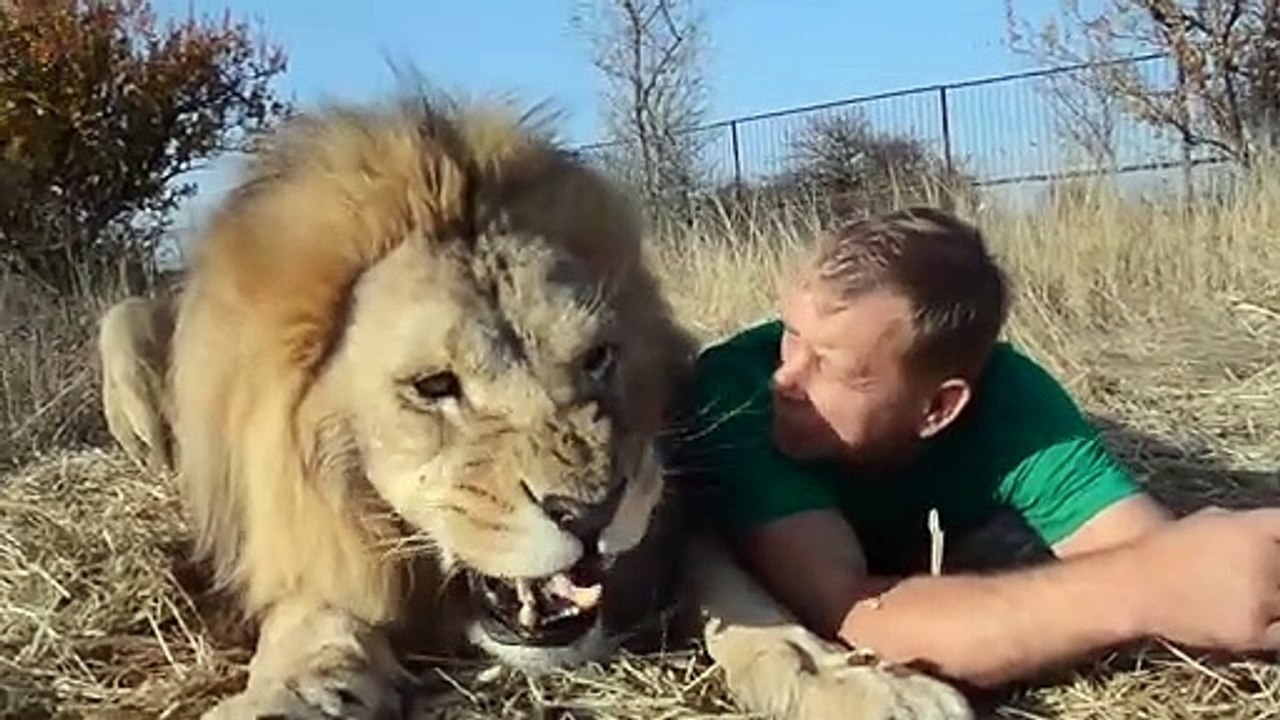 SLIPPER AGAINST THE LIONS