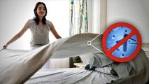 Antimicrobial Bed Sheets  - Silver Ion Technology -  