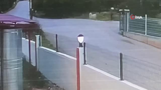 Son dakika haberleri! Köpeklerin saldırdığı genç kızın korku dolu anları kamerada