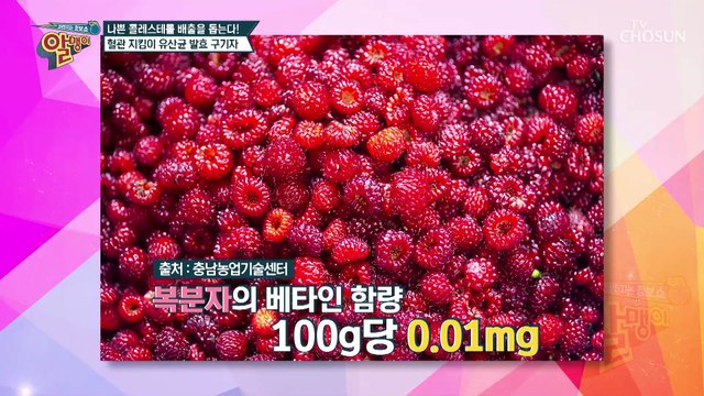 ❛유산균 발효 구기자❜로 나쁜 콜레스테롤&지방 배출 하자✌ TV CHOSUN 20220327 방송