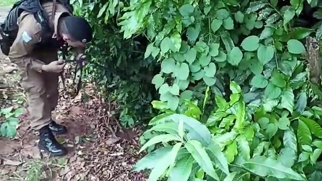 PM deflagra 'Operação Pantanal' e prende dois homens, drogas, armas e dinheiro em Iporã