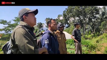 Mantap || Ribuan Meter Lahan Pertanian Ini Dikelola Oleh Pemuda Desa