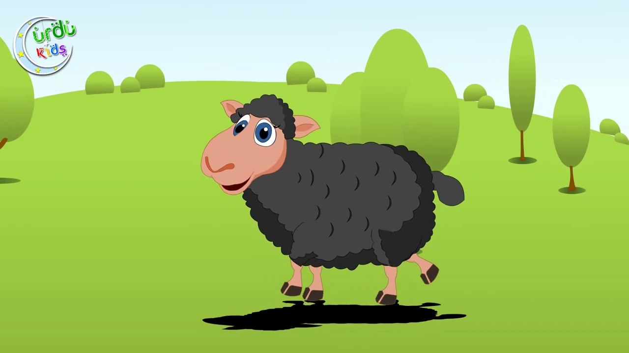 Baba Black Sheep in Urdu _ کالے بکرے _ Urdu Nursery Rhyme