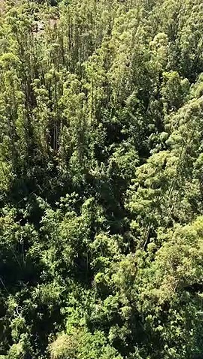 Agente da PRF é baleado em troca de tiros com assaltantes na BR-277