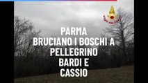Parma incendi, bruciano i  boschi a Pellegrino, Bardi e Cassio: vigili del fuoco in azione