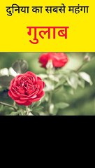 #fact world का सबसे महंगा rose  कौन सा है  #shorts