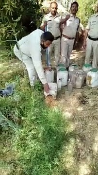 जबलपुर के इस इलाके में बनती है कच्ची शराब, पुलिस ने पकड़ा अवैध कारोबार, देखें वीडियो