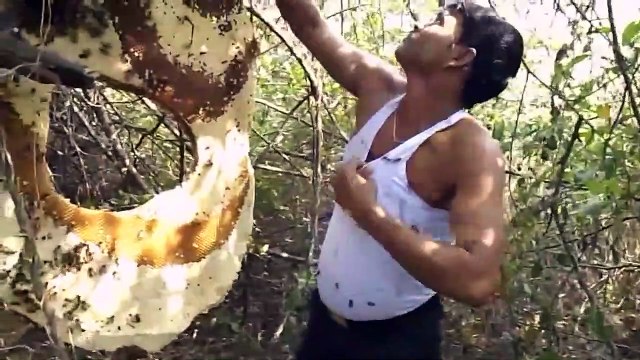 Cet indien se couvre le torse de milliers d'abeilles