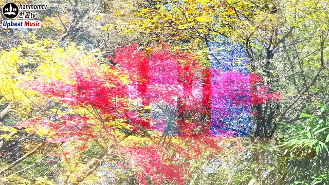 Upbeat music Uplifting pleasant music | Vibe up music for uplifting positive mood 30 minutes 신나는 음악 경쾌하고 신나는노래모음