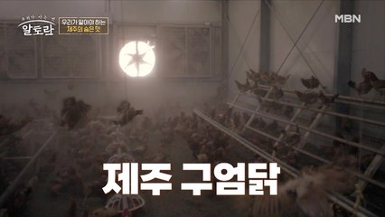 제주도민들만의 숨은 몸보신 보약 OOO