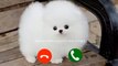 Abe yaar ek aur massage ringtone |Cute Voice message ringtone| Sad sms ringtone Love sms #ringtone (2)