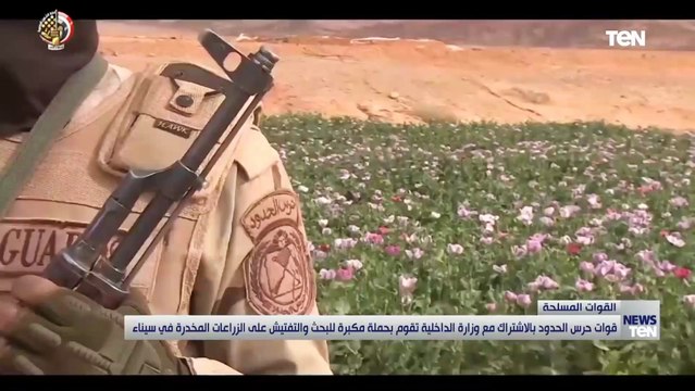 قوات حرس الحدود بالاشتراك مع وزارة الداخلية تقوم بحملة مكبرة للبحث عن الزراعات المخدرة في سيناء