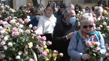 Sevilla da la bienvenida a la primavera con una 'guerrilla' de 20.000 rosas
