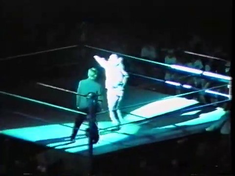 Razor Ramon vs Jeff Jarrett: Ladder Match for Intercontinental Title: WWF House Show, 1995