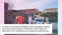 Disparition de Delphine Jubillar : La demande en mariage de Cédric en 2011, 