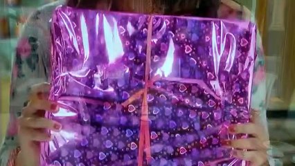 Tumhari Pakhi Capitulo 107 Novela India