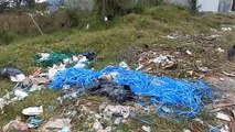 ¡Botadero de basura clandestino! predios de barrio El Carmen en Siguatepeque