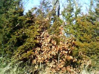 believe me if all those enduring young charms 120 bpm instrumental