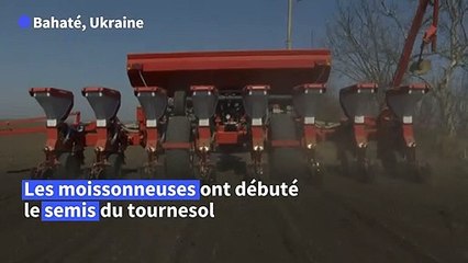 Ukraine: au début des semailles, l'agriculture craint la panne sèche