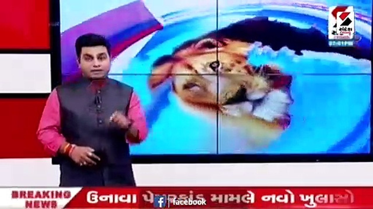 બેરોજગારી મુદ્દે આવતીકાલે ગાંધીનગરમાં કોંગ્રેસ...