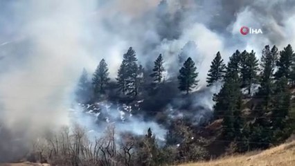 Télécharger la video: ABD’nin Colorado eyaletinde orman yangını nedeniyle 19 bin kişi tahliye edildi