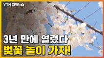 [자막뉴스] 올해는 벚꽃 본다!...3년 만에 열리는 여의도 벚꽃길 / YTN