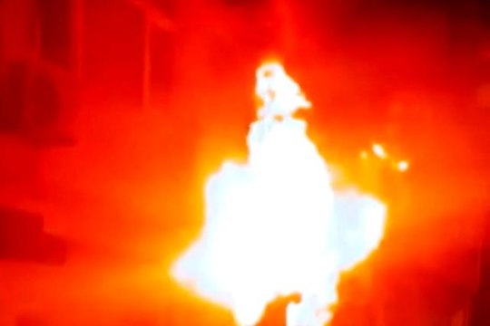 Fatih korkutan yangın: Dumandan etkilenen 4 kişi ve 6 kedi yavrusunu itfaiye ekipleri kurtardı